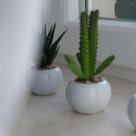 Vidilica * 스플리트