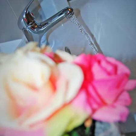 Vidilica 스플리트