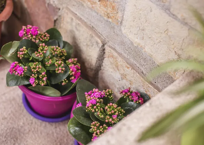 Apartmán Vidilica *