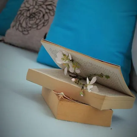 Vidilica 아파트